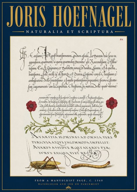 Joris Hoefnagel Illuminated Page with Flowers, Insects & Latin Script No4 - Juliste