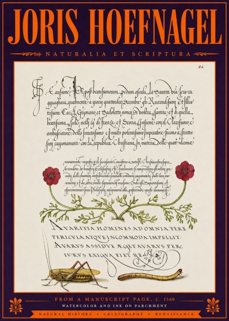 Joris Hoefnagel Illuminated Page with Flowers, Insects & Latin Script No6 - Juliste