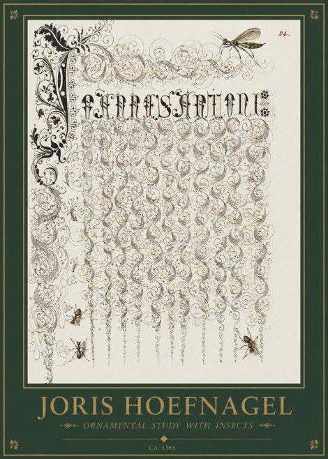 Joris Hoefnagel Ornamental Study with Insects No1 - Juliste