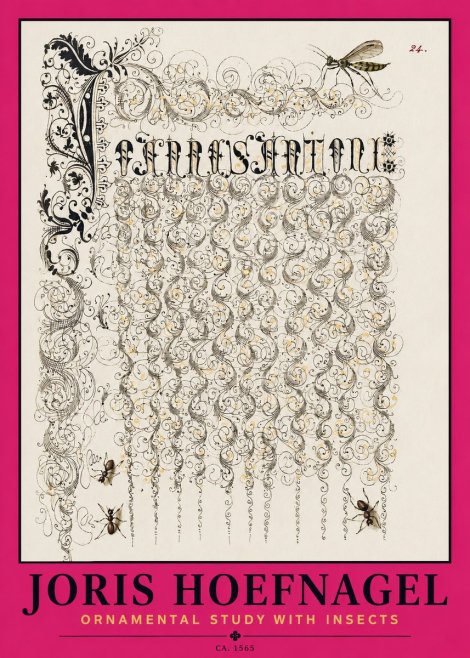 Joris Hoefnagel Ornamental Study with Insects No2 - Juliste
