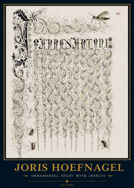 Joris Hoefnagel Ornamental Study with Insects No3 - Juliste