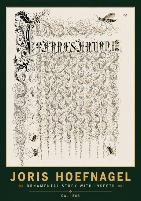 Joris Hoefnagel Ornamental Study with Insects No4 - Juliste