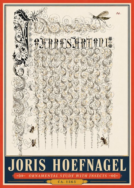 Joris Hoefnagel Ornamental Study with Insects No5 - Juliste
