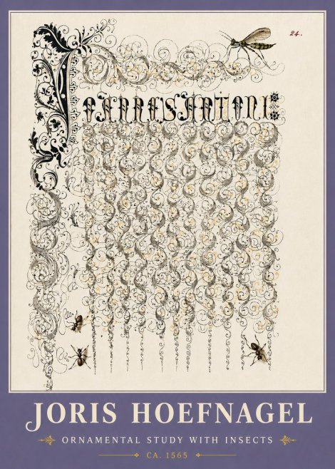 Joris Hoefnagel Ornamental Study with Insects No6 - Juliste