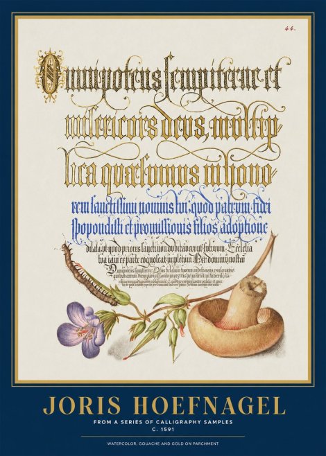 Joris Hoefnagel From a Series of Calligraphy Samples No1 - Juliste