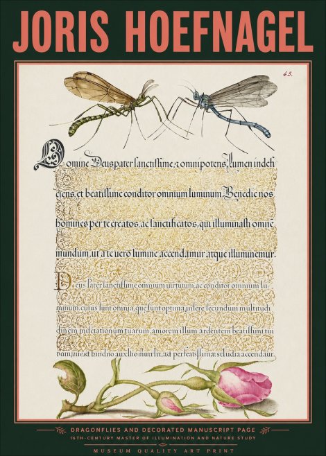Joris Hoefnagel Dragonflies and Decorated Manuscript Page No3 - Juliste