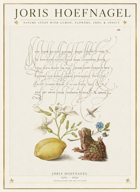 Joris Hoefnagel Nature Study with Lemon, Flowers, Frog & Insect No1 - Juliste