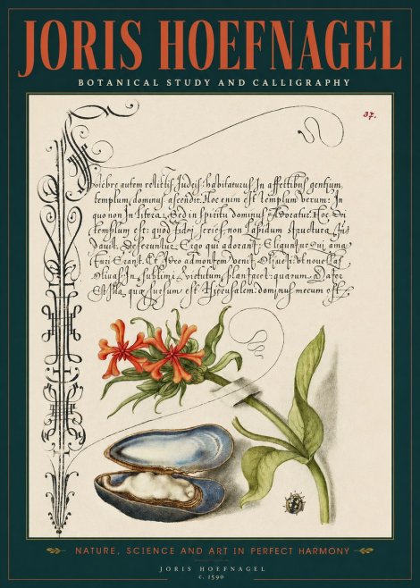 Joris Hoefnagel Botanical Study and Calligraphic Page No2 - Juliste