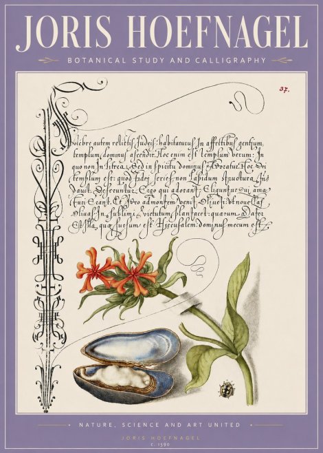 Joris Hoefnagel Botanical Study and Calligraphic Page No3 - Juliste