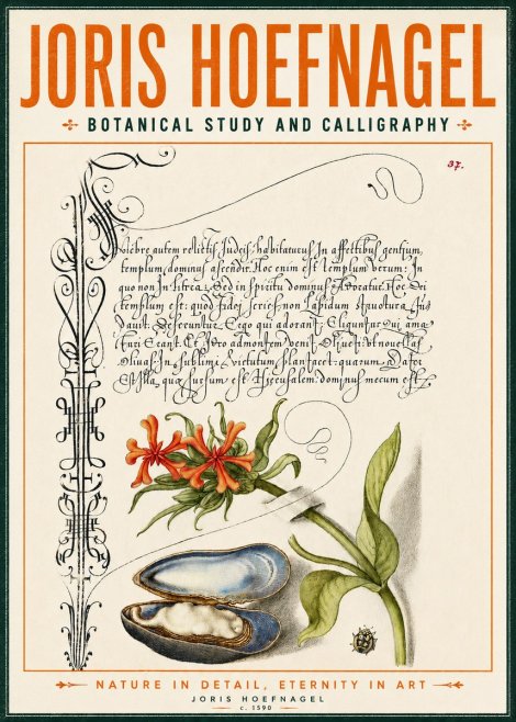 Joris Hoefnagel Botanical Study and Calligraphic Page No4 - Juliste