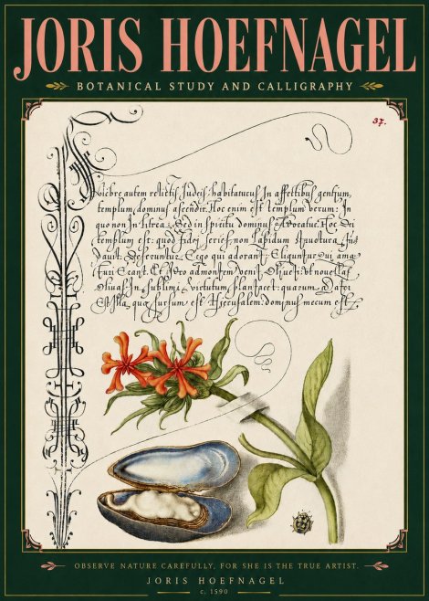 Joris Hoefnagel Botanical Study and Calligraphic Page No5 - Juliste