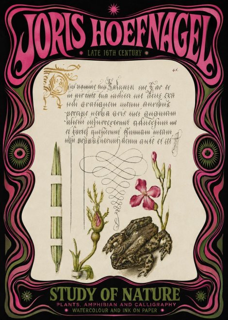 Joris Hoefnagel Study of Nature I No3 - Juliste