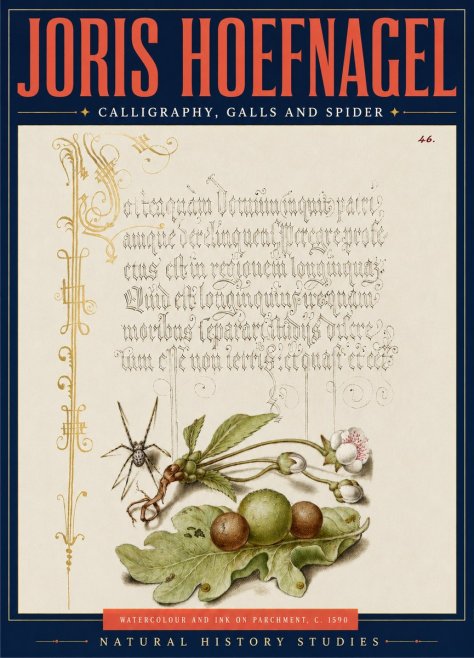 Joris Hoefnagel Plant with Galls and Insect No5 - Juliste