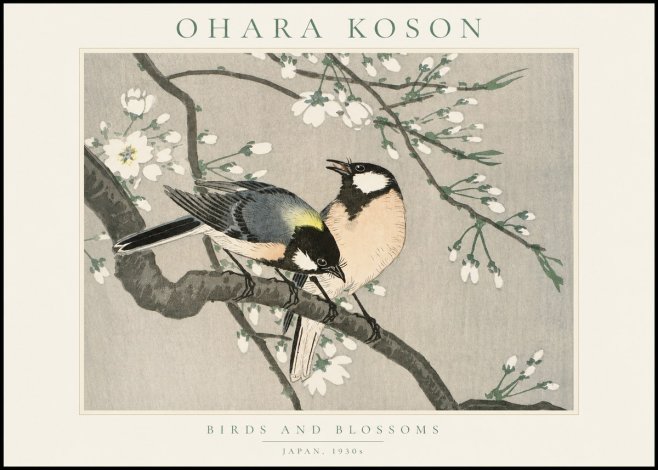Ohara Koson Birds and Blossoms No1 - Juliste