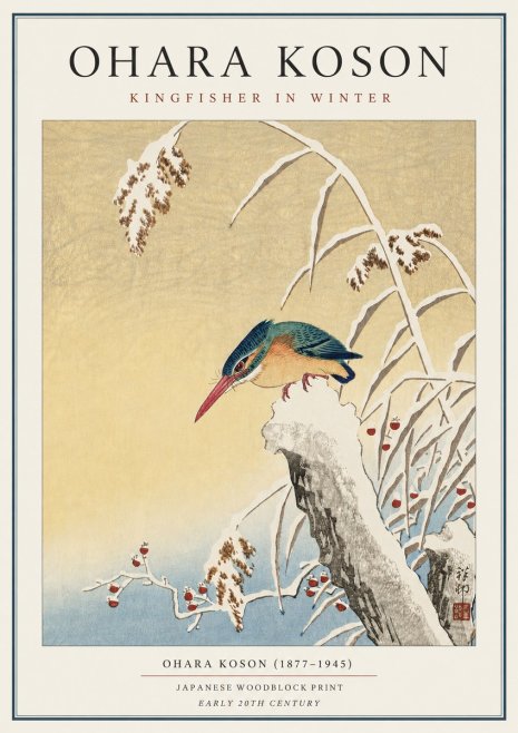 Ohara Koson Kingfisher in Winter I No3 - Juliste