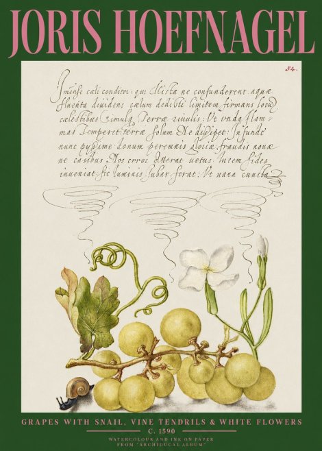 Joris Hoefnagel Grapes with Snail, Vine Tendrils & White Flowers No2 - Juliste