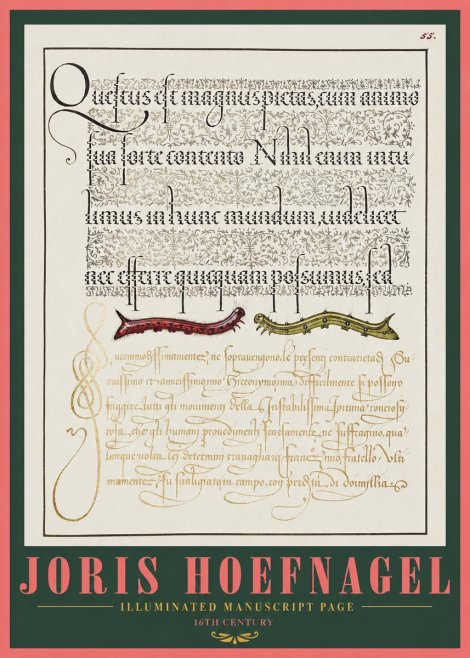 Joris Hoefnagel Illuminated Manuscript Page I No2 - Juliste