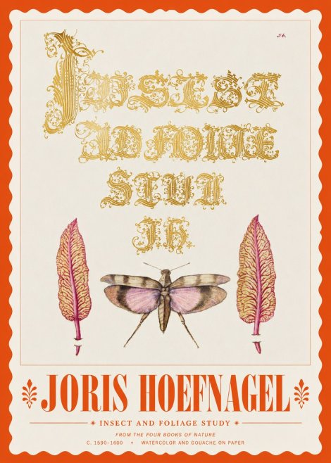 Joris Hoefnagel Insect and Foliage Study No3 - Juliste