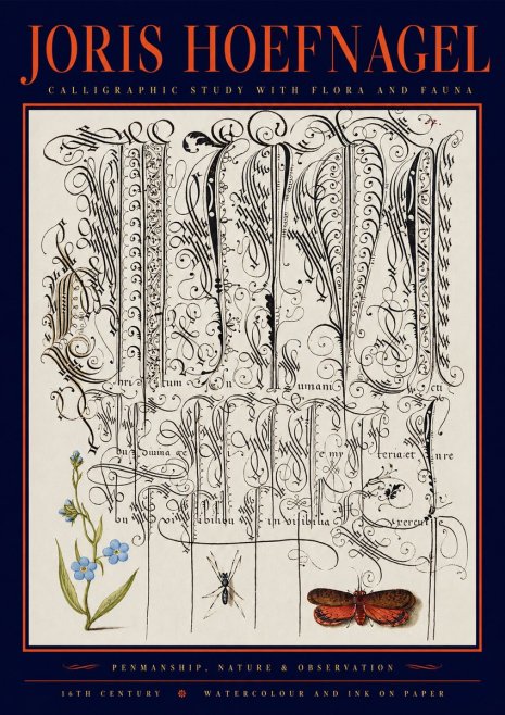 Joris Hoefnagel Calligraphic Study with Flora and Fauna No2 - Juliste
