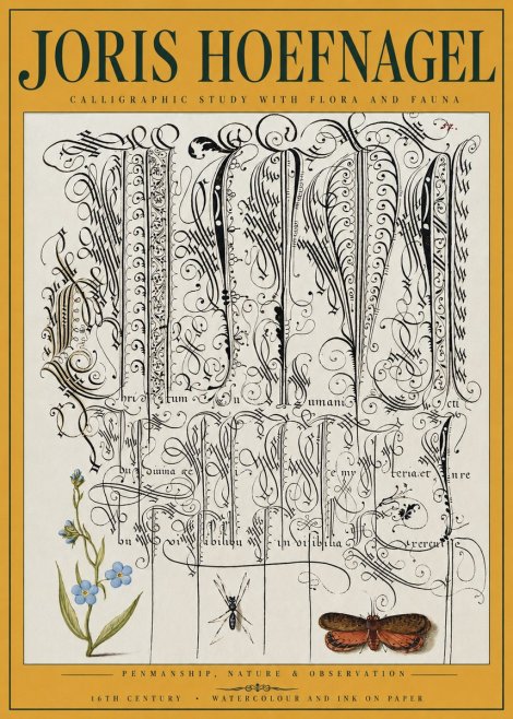 Joris Hoefnagel Calligraphic Study with Flora and Fauna No3 - Juliste