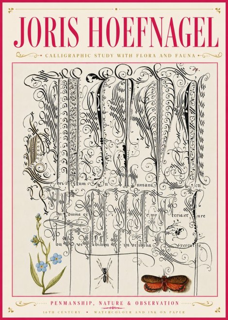 Joris Hoefnagel Calligraphic Study with Flora and Fauna No6 - Juliste