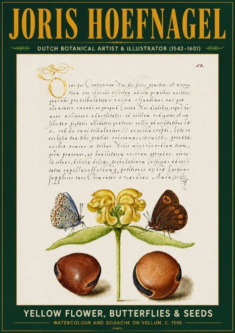 Joris Hoefnagel Yellow Flower, Butterflies & Seeds No5 - Juliste
