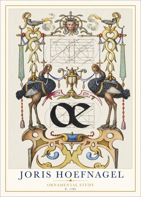 Joris Hoefnagel Ornamental Study I No1 - Juliste