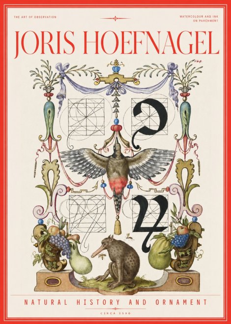 Joris Hoefnagel Study of Nature and Ornament No3 - Juliste