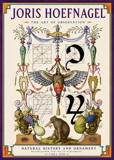 Joris Hoefnagel Study of Nature and Ornament No6 - Juliste
