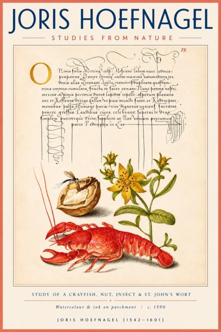Joris Hoefnagel Studies from Nature No4 - Juliste