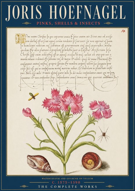 Joris Hoefnagel Pinks, Shells & Insects No5 - Juliste