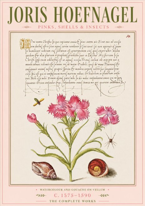 Joris Hoefnagel Pinks, Shells & Insects No6 - Juliste