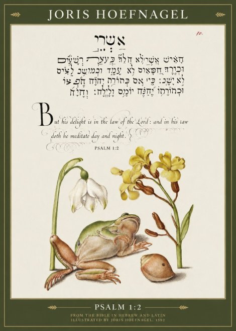 Joris Hoefnagel Psalm 1:2 No1 - Juliste
