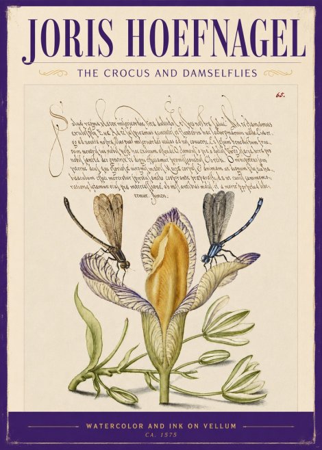 Joris Hoefnagel The Crocus and Damselflies No2 - Juliste