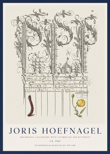 Joris Hoefnagel Ornamental Calligraphy with Caterpillar and Buttercup No1 - Juliste