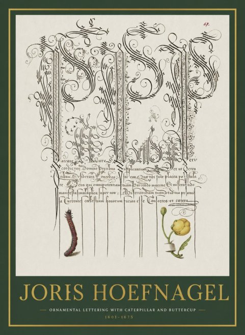 Joris Hoefnagel Ornamental Calligraphy with Caterpillar and Buttercup No2 - Juliste