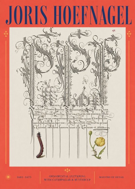 Joris Hoefnagel Ornamental Calligraphy with Caterpillar and Buttercup No3 - Juliste