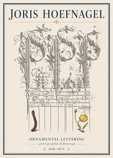 Joris Hoefnagel Ornamental Calligraphy with Caterpillar and Buttercup No4 - Juliste