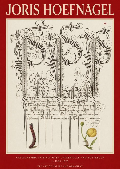Joris Hoefnagel Ornamental Calligraphy with Caterpillar and Buttercup No6 - Juliste