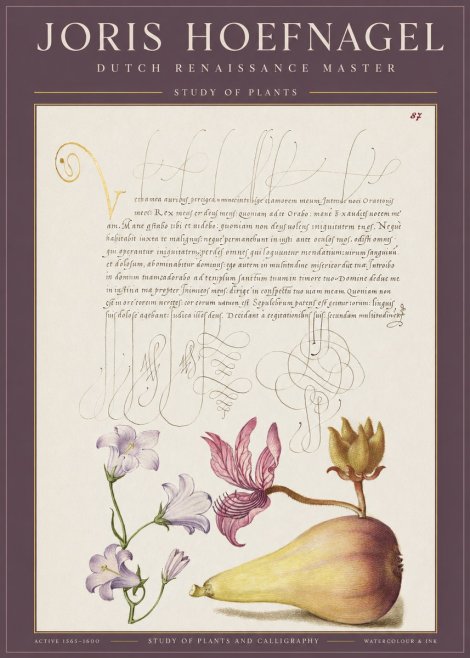 Joris Hoefnagel Study of Plants II No1 - Juliste