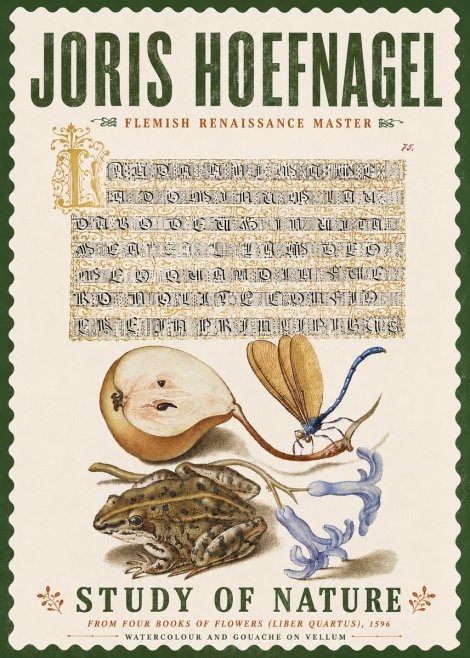 Joris Hoefnagel Study of Nature II No6 - Juliste