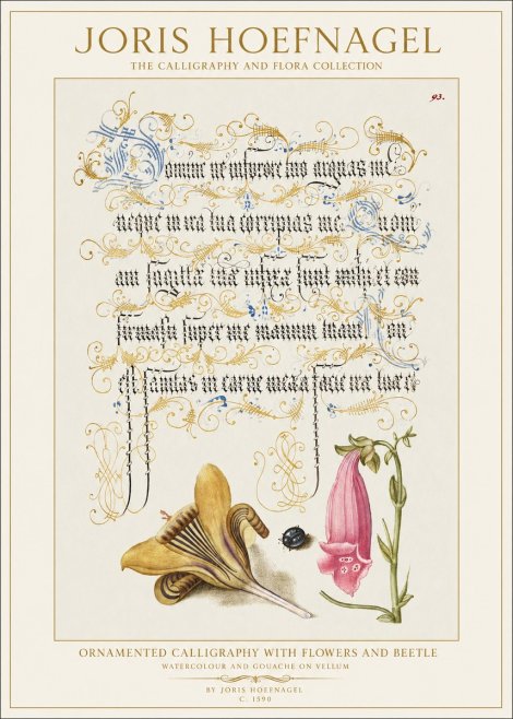 Joris Hoefnagel Ornamented Calligraphy with Flowers and Beetle No1 - Juliste