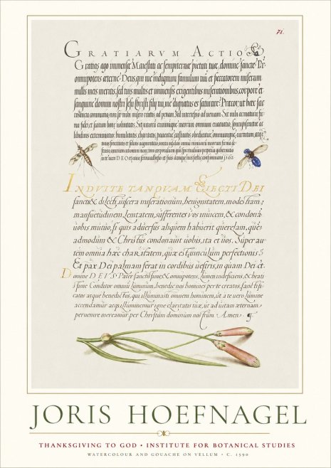 Joris Hoefnagel Thanksgiving to God • Institute for Botanical Studies No1 - Juliste