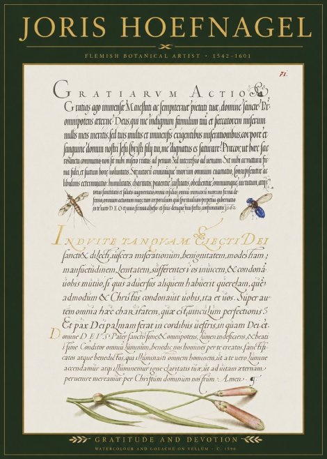 Joris Hoefnagel Thanksgiving to God • Institute for Botanical Studies No3 - Juliste