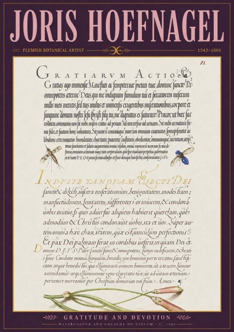 Joris Hoefnagel Thanksgiving to God • Institute for Botanical Studies No4 - Juliste