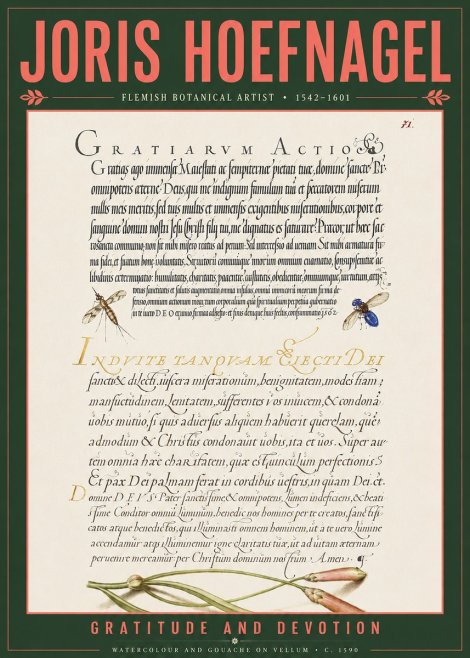 Joris Hoefnagel Thanksgiving to God • Institute for Botanical Studies No5 - Juliste
