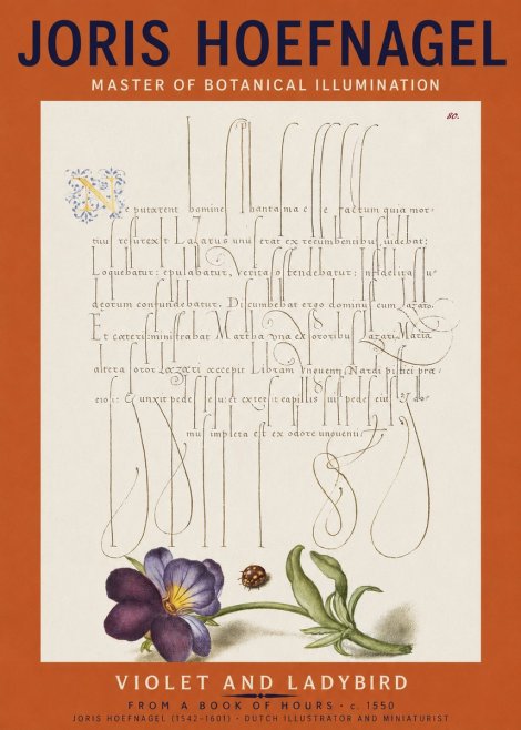 Joris Hoefnagel Violet and Ladybird No2 - Juliste
