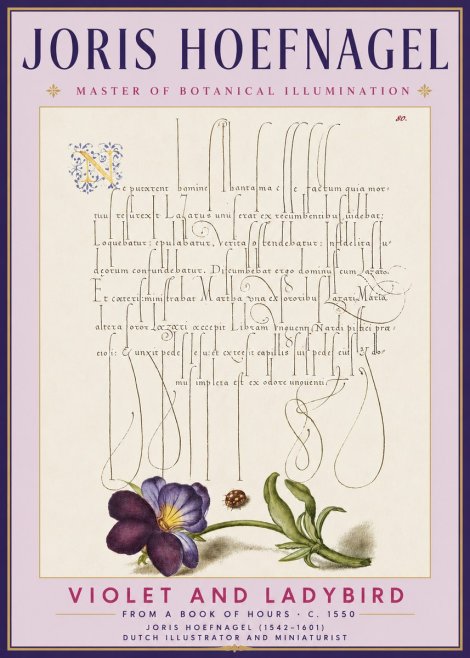 Joris Hoefnagel Violet and Ladybird No3 - Juliste