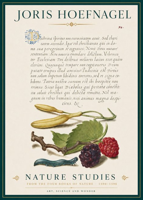 Joris Hoefnagel Nature Studies No3 - Juliste