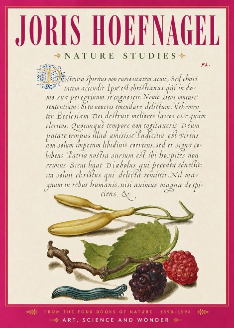 Joris Hoefnagel Nature Studies No6 - Juliste